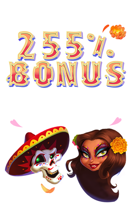 Jeet City Jeet City Casino